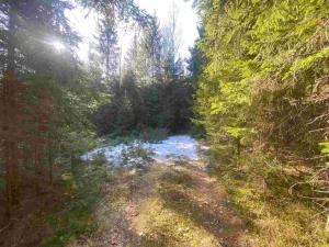 Prodej pozemku, Železná Ruda - Špičák, 1644 m2