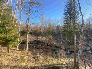 Prodej pozemku, Železná Ruda - Špičák, 1644 m2