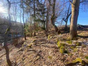 Prodej pozemku, Železná Ruda - Špičák, 1644 m2