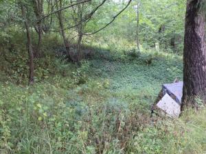 Prodej pozemku, Skuteč, 1714 m2