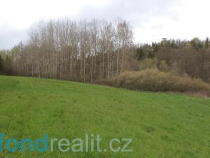 Prodej pole, Tachov, 55727 m2