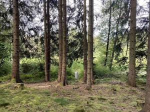 Prodej pole, Rozvadov, 52176 m2