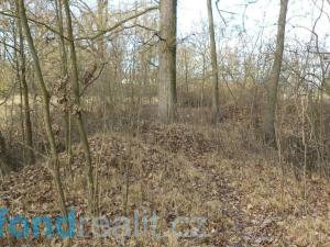 Prodej pozemku, Čejetice - Sudoměř, 62047 m2