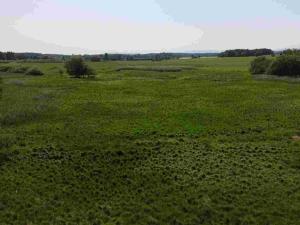 Prodej pozemku, Jílovice, 20535 m2