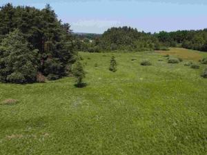 Prodej pozemku, Jílovice, 20535 m2