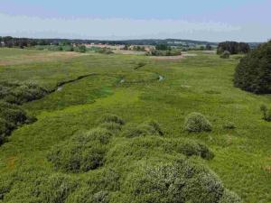 Prodej pozemku, Jílovice, 20535 m2