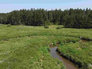 Prodej pozemku, Jílovice, 20535 m2