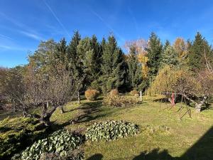 Prodej rodinného domu, Kozojedy, 145 m2