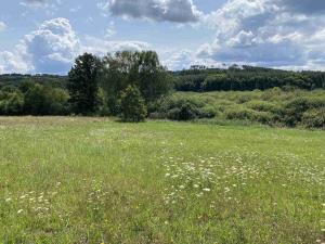 Prodej pole, Lhenice - Hrbov, 55481 m2