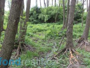 Prodej pozemku, Mořkov, 5978 m2