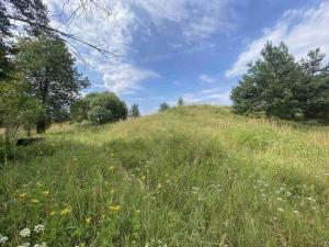 Prodej pozemku, Rapšach - Nová Ves u Klikova, 6986 m2