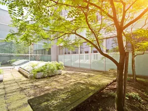 Pronájem kanceláře, Praha - Nové Město, Václavské náměstí, 300 m2