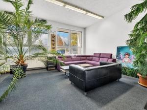 Pronájem kanceláře, Plzeň, Hřbitovní, 378 m2