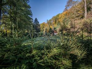 Prodej rodinného domu, Nové Mitrovice, 101 m2