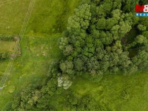 Prodej louky, Dětřichov, 4178 m2