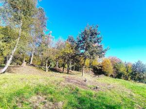 Prodej pozemku, Ostrava, 3646 m2