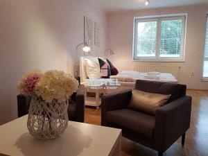 Pronájem bytu 2+kk, Olomouc, Hanáckého pluku, 55 m2