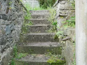 Prodej rodinného domu, Plasy, 112 m2