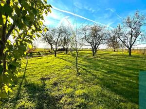 Prodej chaty, Kostelany, 48 m2