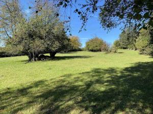 Prodej pole, Nový Rychnov - Čejkov, 7207 m2