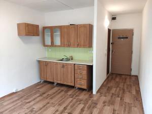 Pronájem bytu 1+kk, Sokolov, Mičurinova, 20 m2