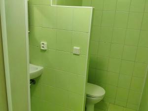 Pronájem bytu 1+kk, Sokolov, Mičurinova, 20 m2