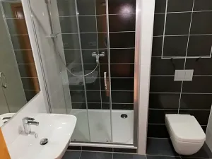 Pronájem bytu 1+kk, Praha - Dejvice, Lindleyova, 34 m2