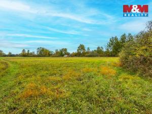 Prodej louky, Jestřebí, 14822 m2