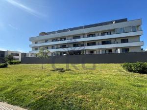 Pronájem bytu 1+kk, Slavkov u Brna, Zelnice II., 39 m2