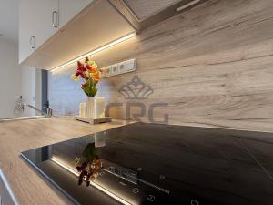 Pronájem rodinného domu, Čebín, 201 m2