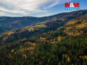 Prodej louky, Milíkov, 4541 m2