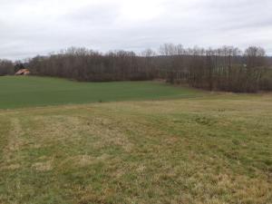 Prodej pole, Srby, 19946 m2