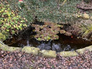 Prodej rodinného domu, Vítězná - Huntířov, 192 m2