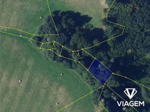 Prodej lesa, Lomnice, 10434 m2