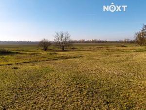 Prodej pozemku pro bydlení, Dyjákovice, 4308 m2