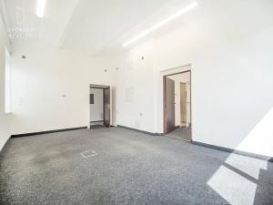 Prodej rodinného domu, Mladá Boleslav, Ptácká, 305 m2