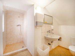 Prodej rodinného domu, Mladá Boleslav, Ptácká, 305 m2