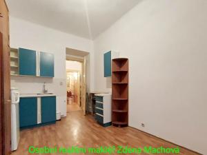 Pronájem bytu 1+kk, Praha - Žižkov, Žerotínova, 19 m2