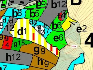 Dražba lesa, Zálezly, 4542 m2