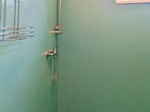 Pronájem ubytování, Pavlínov, 300 m2