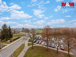 Prodej bytu 3+1, Nová Role, Chodovská, 58 m2