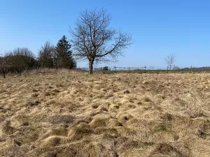 Prodej pozemku pro bydlení, Hamr na Jezeře, 875 m2