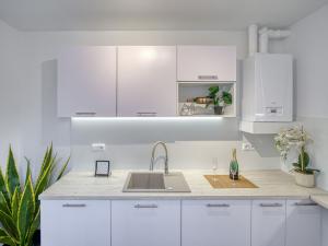 Pronájem bytu 3+1, Litvínov - Horní Litvínov, Vinohradská, 60 m2