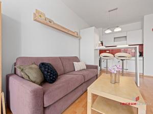 Pronájem bytu 1+kk, Hradec Králové - Třebeš, Ve Stromovce, 41 m2