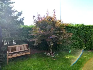 Prodej rodinného domu, Říčany, Za Pilou, 225 m2