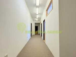 Pronájem obchodního prostoru, Halenkov, 15 m2