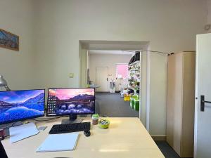 Prodej skladu, Brno, Kaštanová, 1806 m2