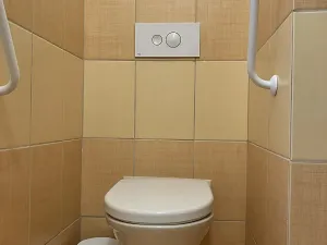 Prodej bytu 3+kk, Uničov, Hrubého, 65 m2