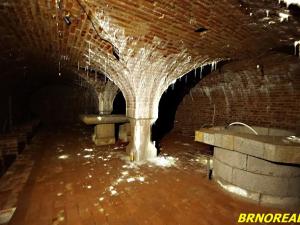 Prodej vícegeneračního domu, Staré Město pod Landštejnem, 1150 m2