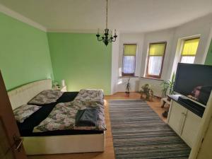 Prodej rodinného domu, Kynšperk nad Ohří, Chebská, 207 m2